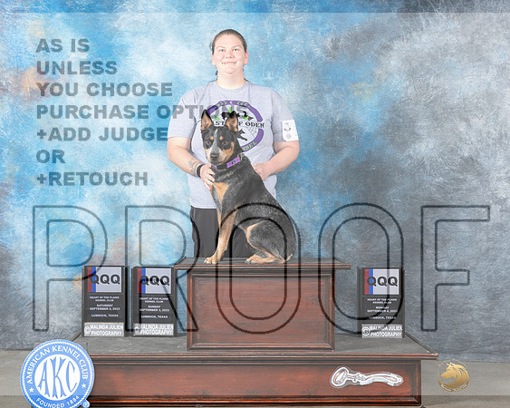 Australian Cattle Dog #18 Mon QQQX3-_JP_3134e-Lubbock2023_HR3