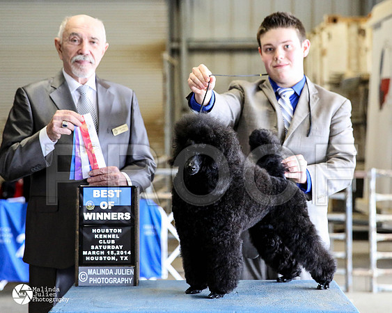 PoodMin-9713-HstnMar2014-HR3