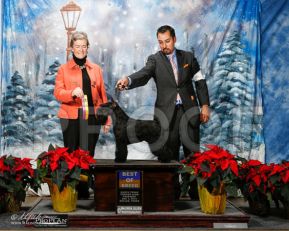 _ST_7996-2-DallasDec2014-HR3