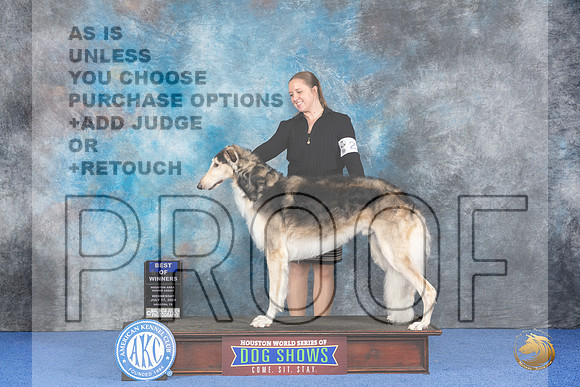 Borzoi #23 WED BOWM Judge Marilyn Pipes__JP_7063_Houston_2024_HR3