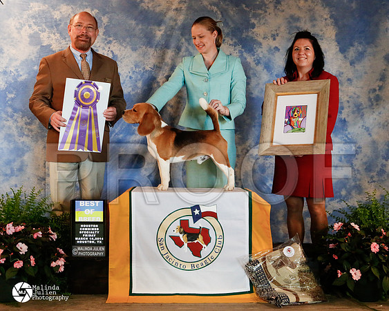 beagle-4927-HstnMar14-HR3