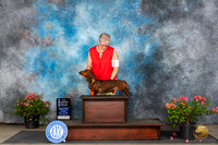 Dachshund Smooth #18 Sun WBBOWCH Judge Victor Rosado