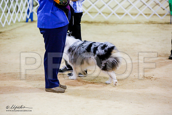 _JN_7816-ASCACollegeStationNov2014-HR3
