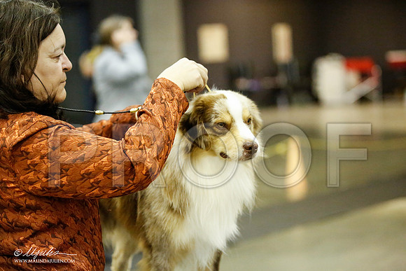 _JJ_6273-BeltonJan2015IABCA-HR3