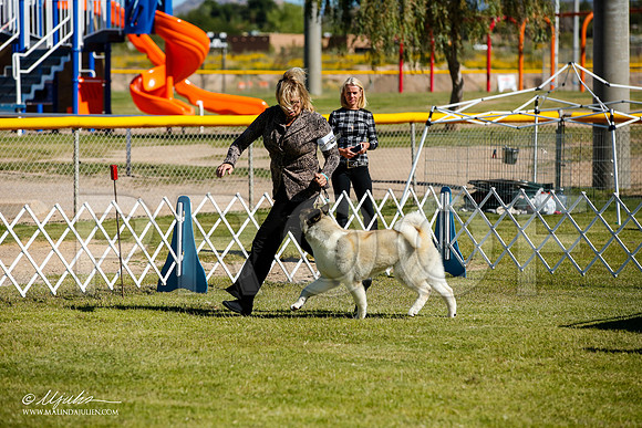 _JJ_9853-AlamogordoOct2014-HR3
