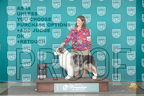 Australian Shepherd #649 Sat TDRBIS Judge Lori Sargent__JP_2749_Premier_2024_HR3