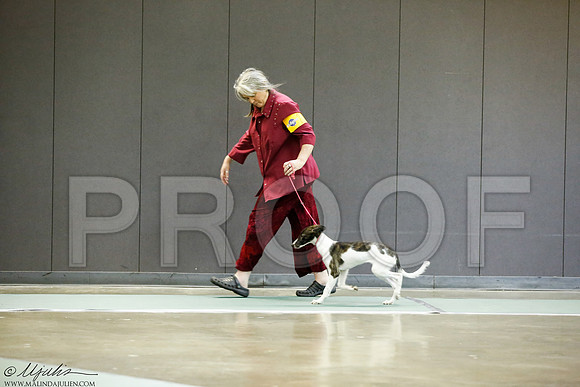 _J3L7032-BeltSep2014-HR