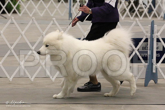 IMG_8898-Abilene2011-HR3