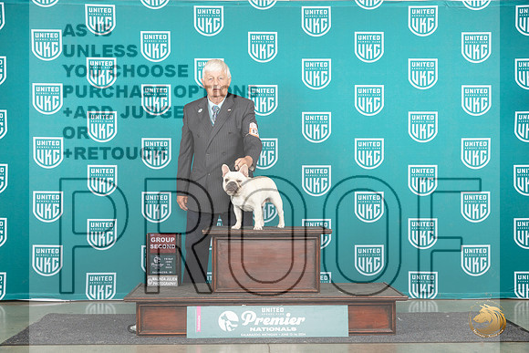 French Bulldog #1239 Fri G2 Judge Diane Price__JP_1823_Premier_2024_HR3