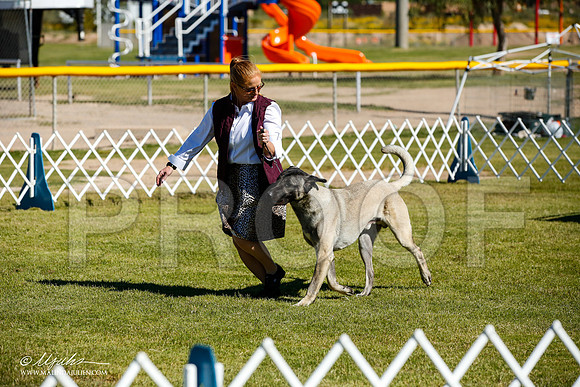 _JJ_9806-AlamogordoOct2014-HR3