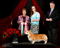 #119 Best Altered Karla Burke Judge Theresa Maddox