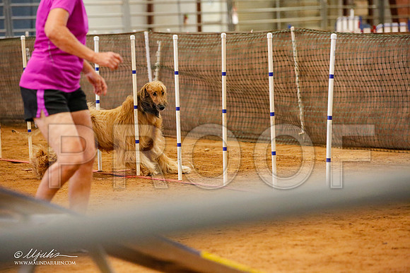 _JJ_5690-AfgBeltonOct2014-HR3