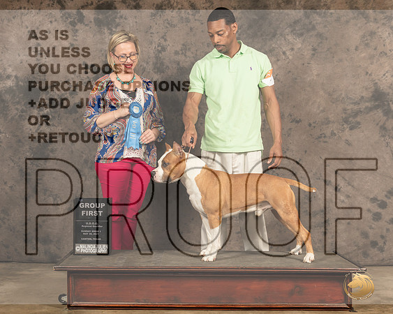 APBT411Sn2G12653_Cntn21