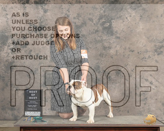 Bulldog437SnBB2333_Cntn21