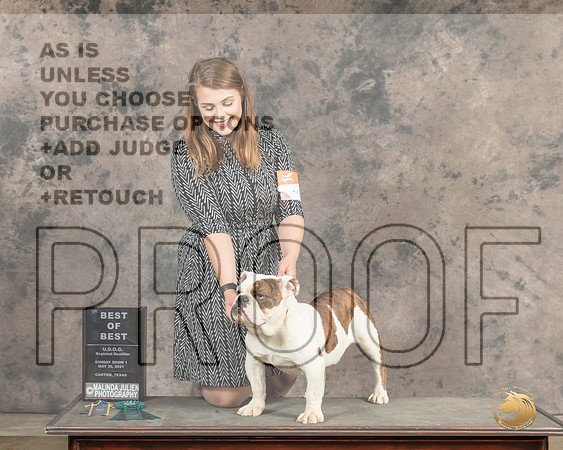 Bulldog437SnBB2335_Cntn21