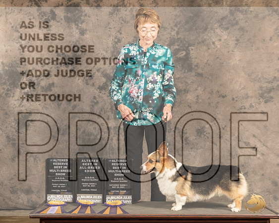 CorgiPSnABIS2464_Cntn21