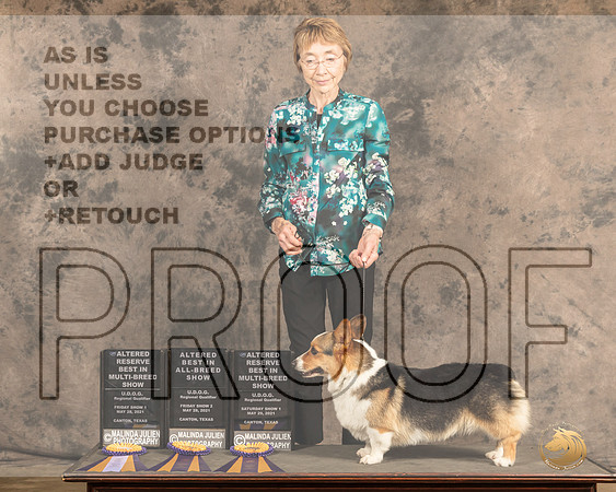 CorgiPSnABIS2469_Cntn21