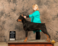 DobeFBM Holly