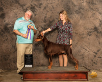 DobeS2ARBISProc