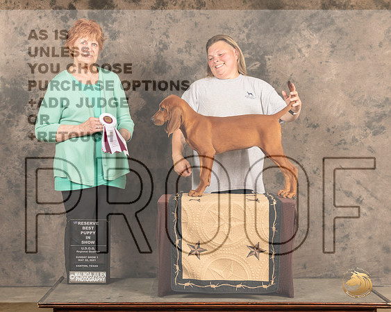RedBCSn1RPBIS2490_Cntn21