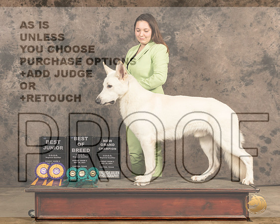 WhiteSh188SnBJr2BBx5GrCh2684_Cntn21
