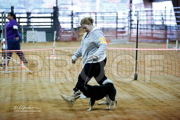 shiba-2734-MrshlDec13-HR