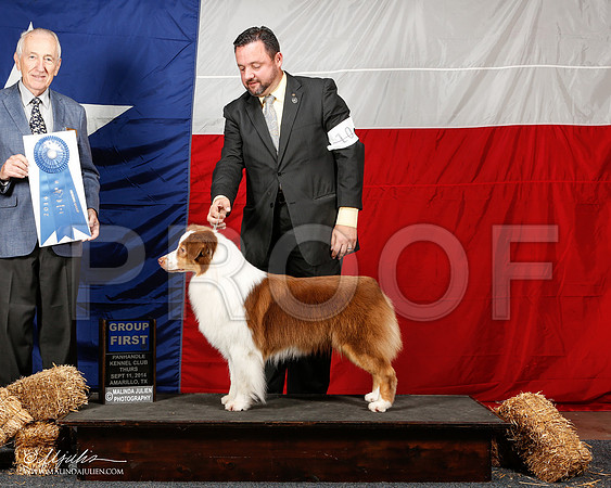 _ST_1387-2-AmarilloSep2014-HR3