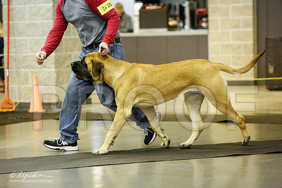 _RH_1724-BeltonJan2015IABCA-HR3