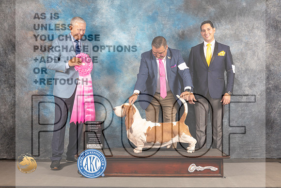 Basset Hound #7 WED BIS OH Judge Richard Nance_MJ_2766_Houston_2022_HR3