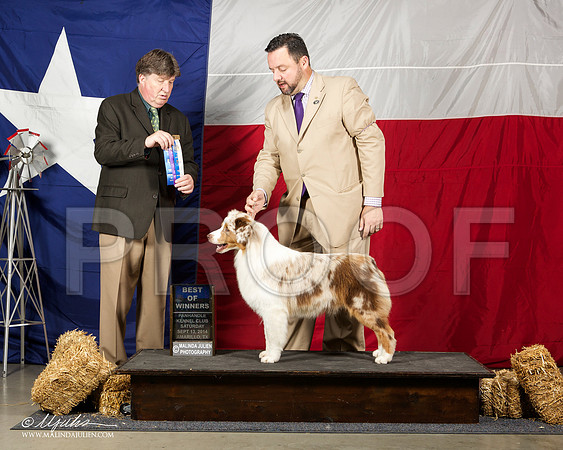 _ST_1677-AmarilloSep2014-HR3