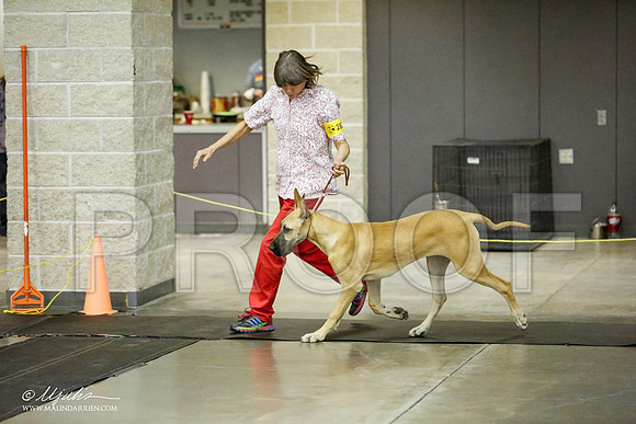 _RH_1684-BeltonJan2015IABCA-HR3
