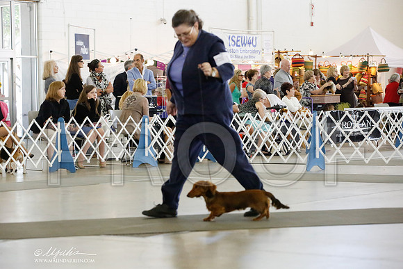 _HR_0411-DallasJul2014-HR3