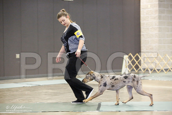 _JN_1342-BeltonJan2015-HR3