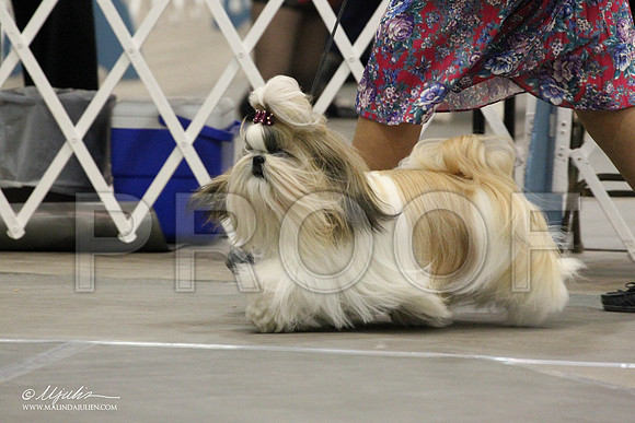IMG_7892-Abilene2011-HR3