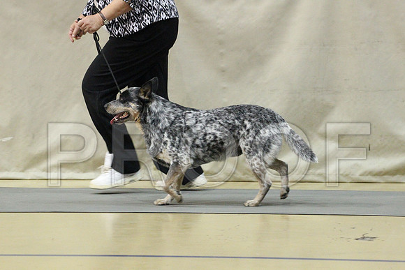 MJS_2530