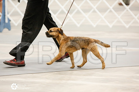 _CK_6546-AblnMay2014-web