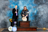 Pekingese #8 Fri WBM Judge Larry Abbott