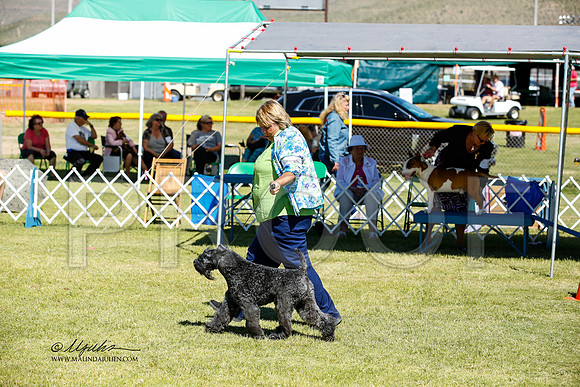 _JN_1117-AlamogordoOct2014-HR3