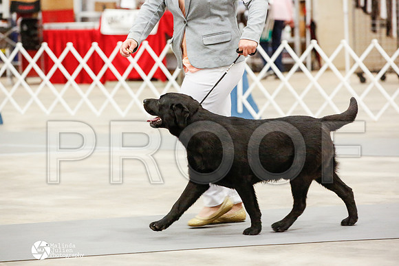_JN_9960-AblnMay2014-web