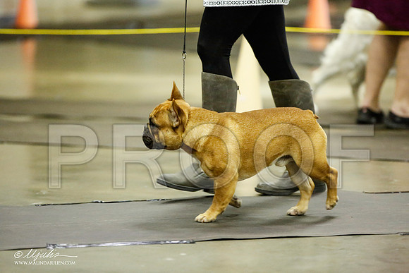 _JJ_5556-BeltonJan2015IABCA-HR3