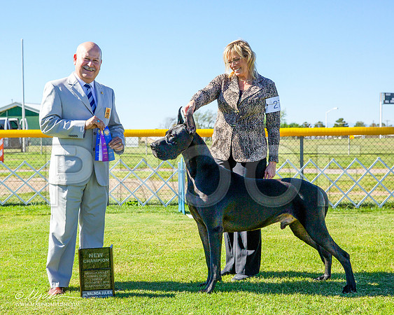 _CL_0259-AlamogordoOct2014-HR3