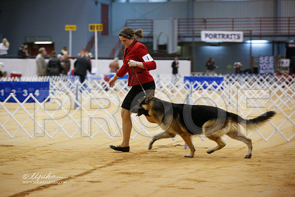 GSD-9848-GRJan14-HR