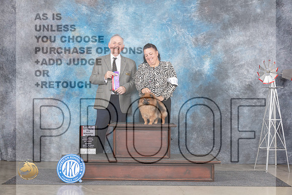 Pomeranian #18 Sun BOWBOSCH Judge Rodney Merry__JP_6297_Amarillo_2024_HR3