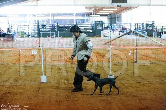 _RH_0692-MarshDec2014-HR