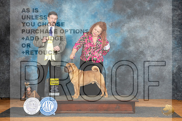 Chinese Shar Pei #9 Sat G3 Judge Jim Fehring__JP_8258_MARSHALL_2024_HR3