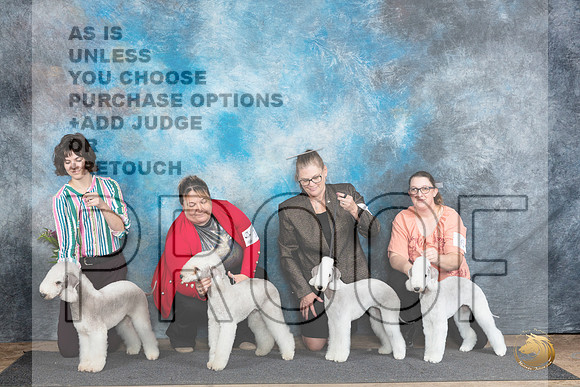 Bedlington Terrier Family Photo Sun__JP_0018_Abilene_2024_HR3