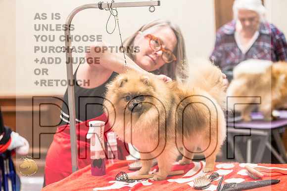 *Candids Pomeranian Fri JJL_3619_HstnTOY_2022_HR3