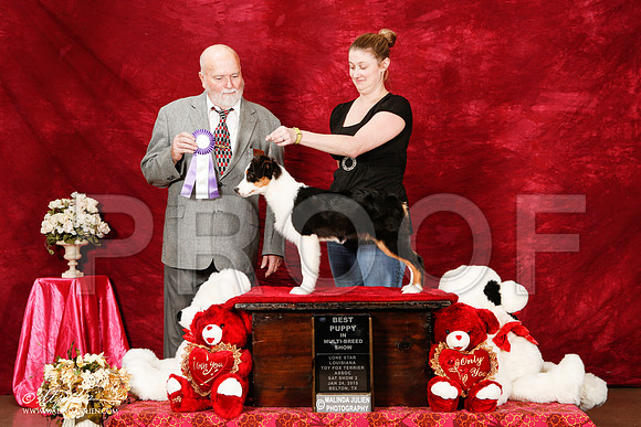 _ST_2297-2-BeltonJan2015-HR3