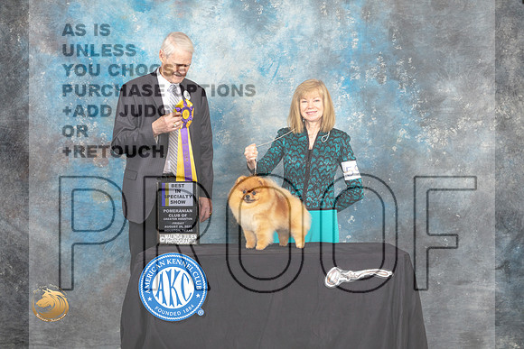 Pomeranian #59 Fri BISS Judge Jon Cole_MJ_9644_HstnTOY_2022_HR3