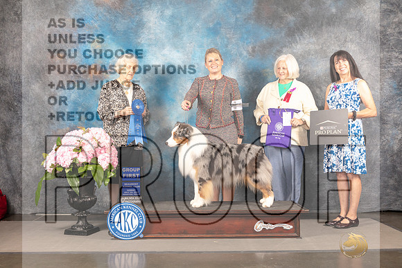 Australian Shepherd #55 Sun G1 Judge Janet Fink_MJ_8275_Houston_2022_HR3